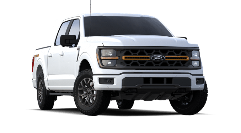 2024 Ford F-150 Vehicle Photo in Terrell, TX 75160